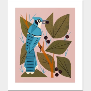 Blue Jay and Berries Posters and Art